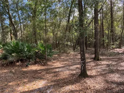 1598 E Naperville Ln, Hernando, FL 34442 photo 22