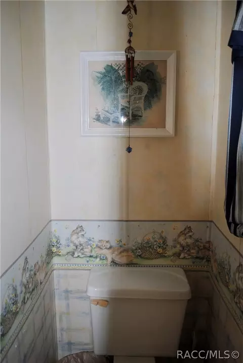 20080 SE 111th Ter, Inglis, FL 34449 photo 33