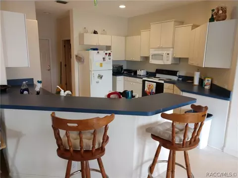 1121 S Softwind Loop, Lecanto, FL 34461 photo 7