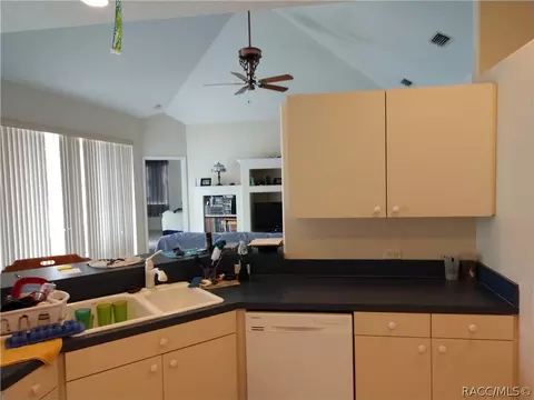 1121 S Softwind Loop, Lecanto, FL 34461 photo 11