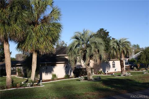 1132 N Hambletonian Dr, Hernando, FL 34442 photo 4