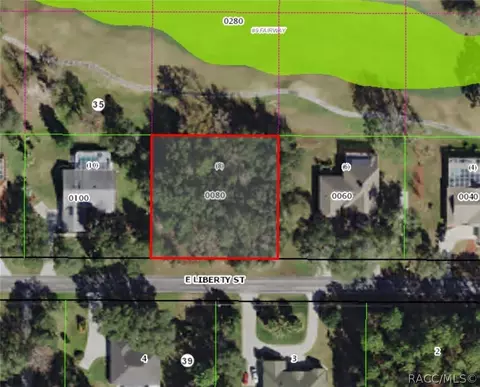 327 E Liberty St, Hernando, FL 34442 photo 1