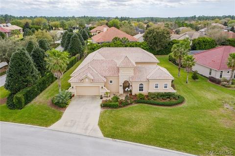 1522 N Eagle Ridge Path, Hernando, FL 34442 photo 1