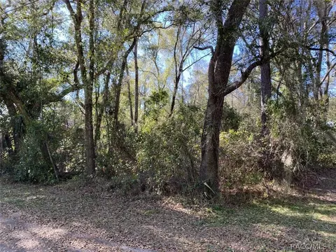 6400 N Goldenrain Cir, Hernando, FL 34442 photo 5