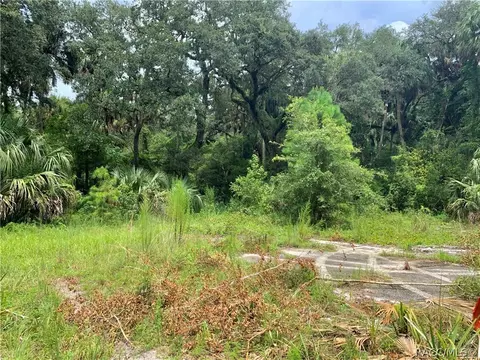 7243 N Comanche Ter, Hernando, FL 34442 photo 1