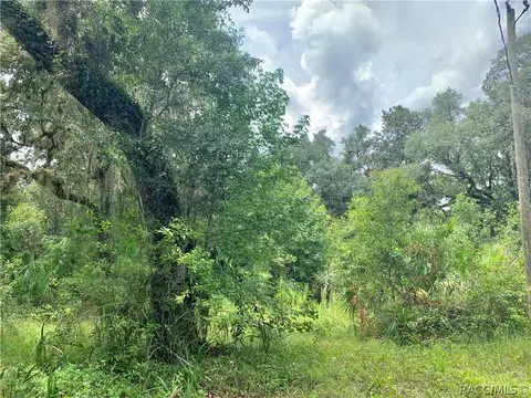 7243 N Comanche Ter, Hernando, FL 34442 photo 5