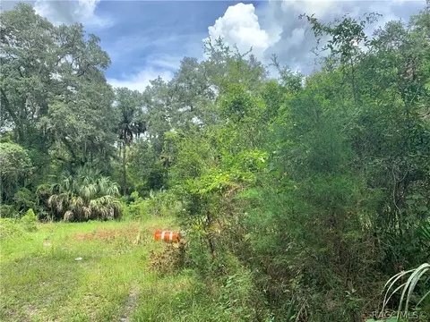 7243 N Comanche Ter, Hernando, FL 34442 photo 4