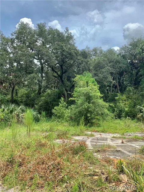 7243 N Comanche Ter, Hernando, FL 34442 photo 3