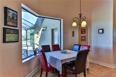 413 E Samuel Ct, Hernando, FL 34442 photo 23