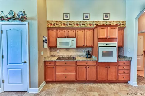 413 E Samuel Ct, Hernando, FL 34442 photo 24