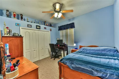 413 E Samuel Ct, Hernando, FL 34442 photo 41