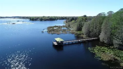 3655 E Cove Park Trl, Hernando, FL 34442 photo 47
