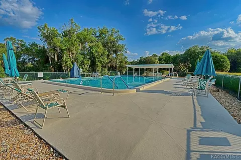 3655 E Cove Park Trl, Hernando, FL 34442 photo 41