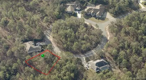 16 Elder Ct E, Homosassa, FL 34446 photo 3