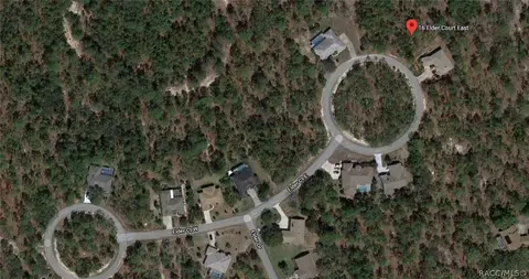 16 Elder Ct E, Homosassa, FL 34446 photo 6