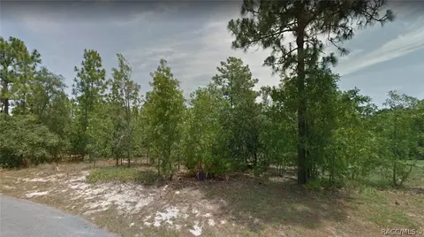 16 Elder Ct E, Homosassa, FL 34446 photo 2