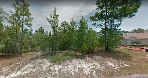 16 Elder Ct E, Homosassa, FL 34446 photo 1