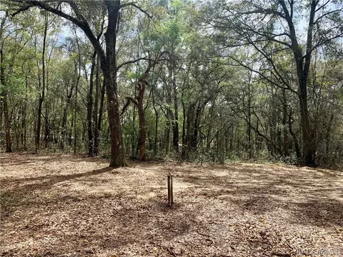 2101 N Blue Max Pt, Hernando, FL 34442 photo 38