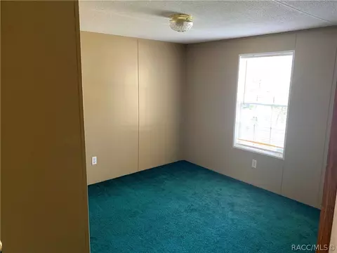 2101 N Blue Max Pt, Hernando, FL 34442 photo 19