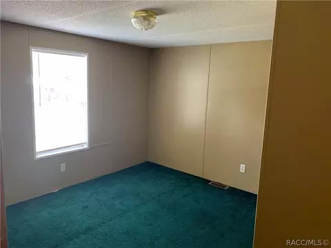 2101 N Blue Max Pt, Hernando, FL 34442 photo 20