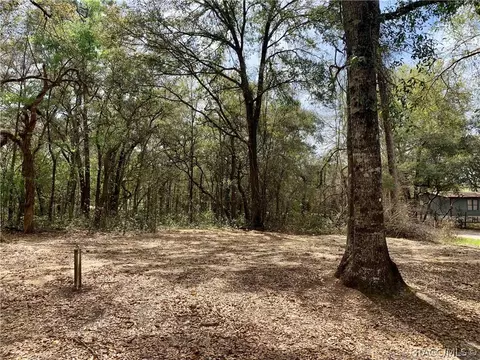 2101 N Blue Max Pt, Hernando, FL 34442 photo 42