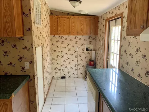 2101 N Blue Max Pt, Hernando, FL 34442 photo 10