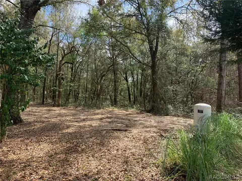2101 N Blue Max Pt, Hernando, FL 34442 photo 40