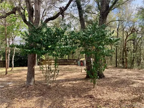 2101 N Blue Max Pt, Hernando, FL 34442 photo 37