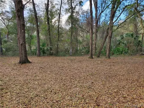6731 N Dawson Dr, Hernando, FL 34442 photo 38