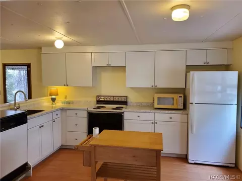6731 N Dawson Dr, Hernando, FL 34442 photo 9