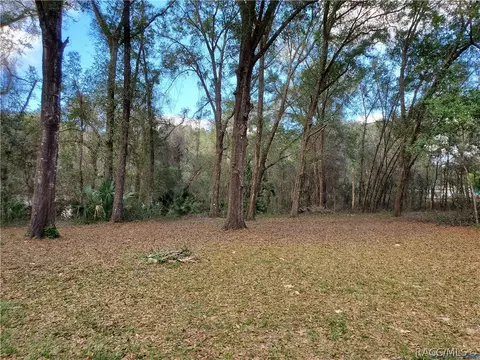 6731 N Dawson Dr, Hernando, FL 34442 photo 35