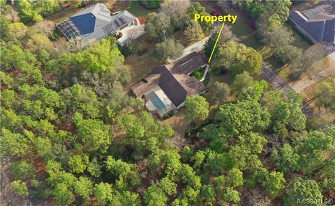 3908 N Monadnock Rd, Hernando, FL 34442 photo 47