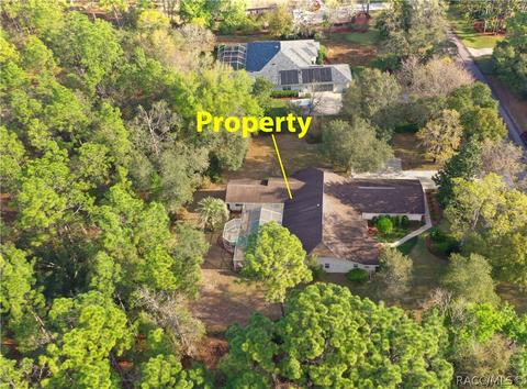 3908 N Monadnock Rd, Hernando, FL 34442 photo 46