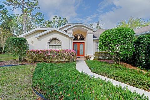 3908 N Monadnock Rd, Hernando, FL 34442 photo 1