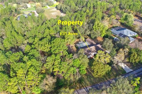 3908 N Monadnock Rd, Hernando, FL 34442 photo 45