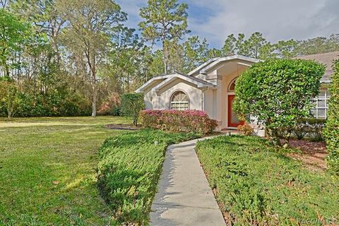 3908 N Monadnock Rd, Hernando, FL 34442 photo 3