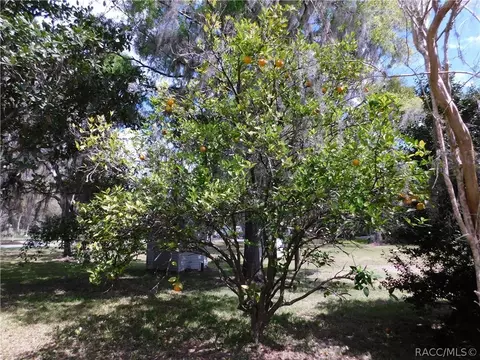10870 SE 201st St, Inglis, FL 34449 photo 7