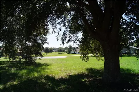 825 E Dakota Ct, Hernando, FL 34442 photo 8