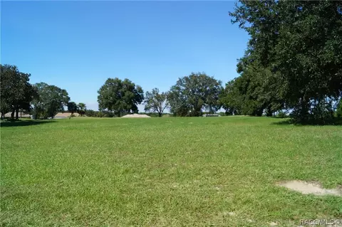 825 E Dakota Ct, Hernando, FL 34442 photo 11