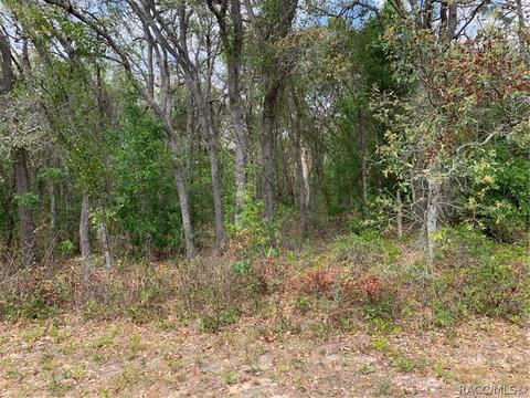 509 W Liberty St, Hernando, FL 34442 photo 1