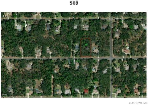 509 W Liberty St, Hernando, FL 34442 photo 5