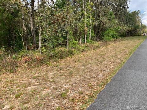 509 W Liberty St, Hernando, FL 34442 photo 8