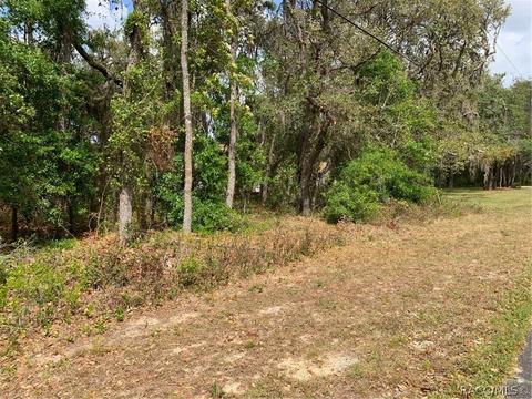 509 W Liberty St, Hernando, FL 34442 photo 3