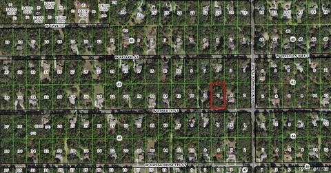 509 W Liberty St, Hernando, FL 34442 photo 9