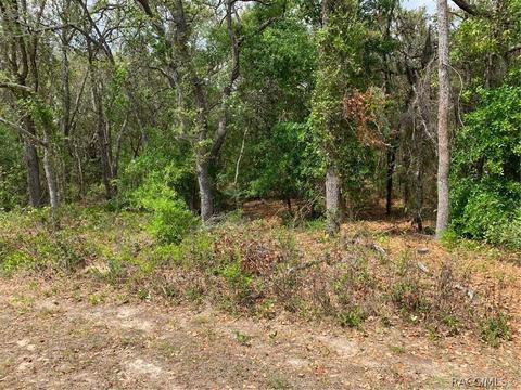 509 W Liberty St, Hernando, FL 34442 photo 7