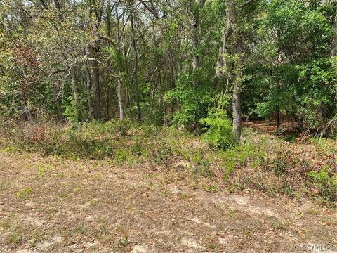509 W Liberty St, Hernando, FL 34442 photo 4