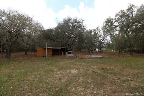 5930 N Irving Park Ave, Hernando, FL 34442 photo 26