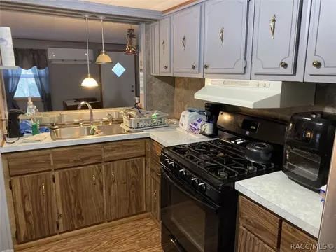 6545 N Shorewood Dr, Hernando, FL 34442 photo 6