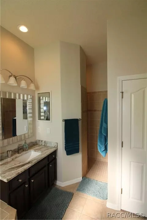535 E Charleston Ct, Hernando, FL 34442 photo 16