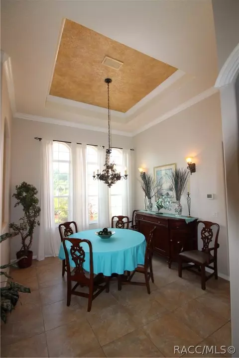 535 E Charleston Ct, Hernando, FL 34442 photo 10